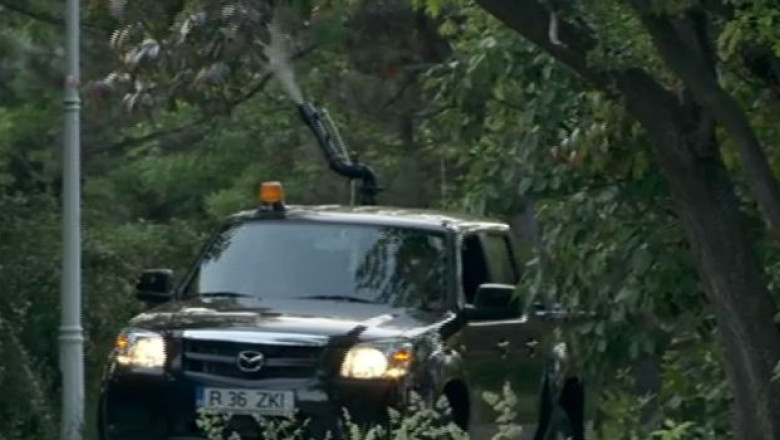 Tantarii nu mor fara 8,5 milioane de euro. Primaria Capitalei a suplimentat contractul cu firma de dezinsectie Imagine