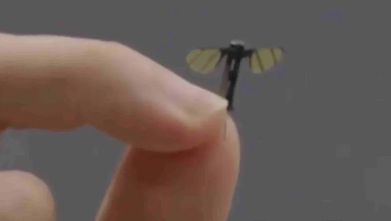 Tantarul spion al chinezilor. Drona minuscula creata de un laborator de robotica militara Imagine