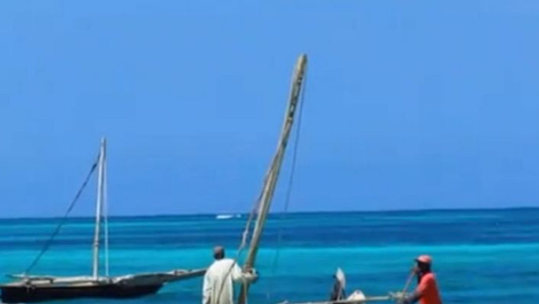 Tanzania. Safari si plaja pe continentul african Imagine