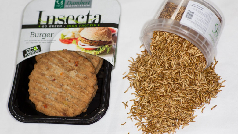Tara care a interzis alimentele cu continut de insecte Imagine