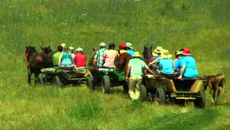 Taxi-caruta, metoda de incurajare a turismului rural in Viscri Imagine