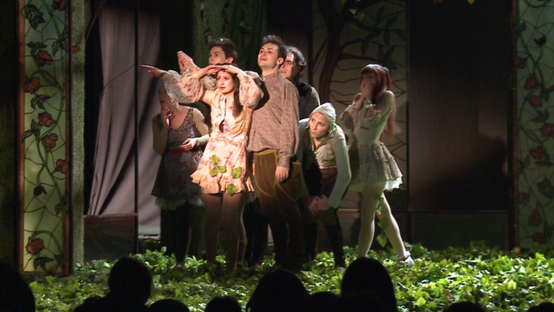 Teatrul "Luceafarul" este in vizorul criticilor de la UNITER Imagine