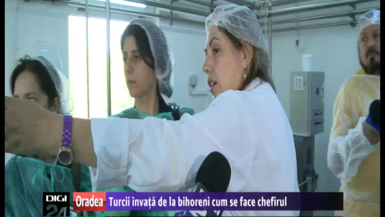 Tehnica procesarii laptelui, dupa norme europene, studiata de turci in Bihor Imagine