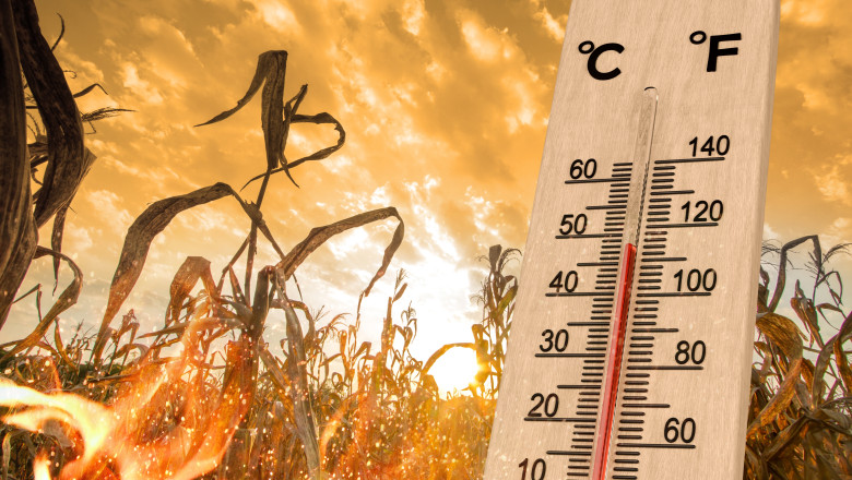 Temperaturi peste cele normale si ploi putine, pana la finalul lunii iulie. Prognoza meteo pe patru saptamani Imagine