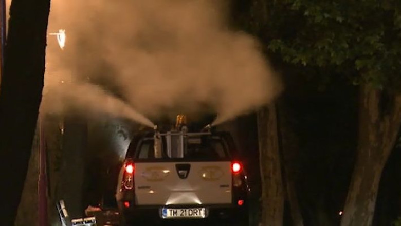 Temperaturile primavaratice au trezit la viata daunatorii. Autoritatile incep tratamente in parcuri Imagine