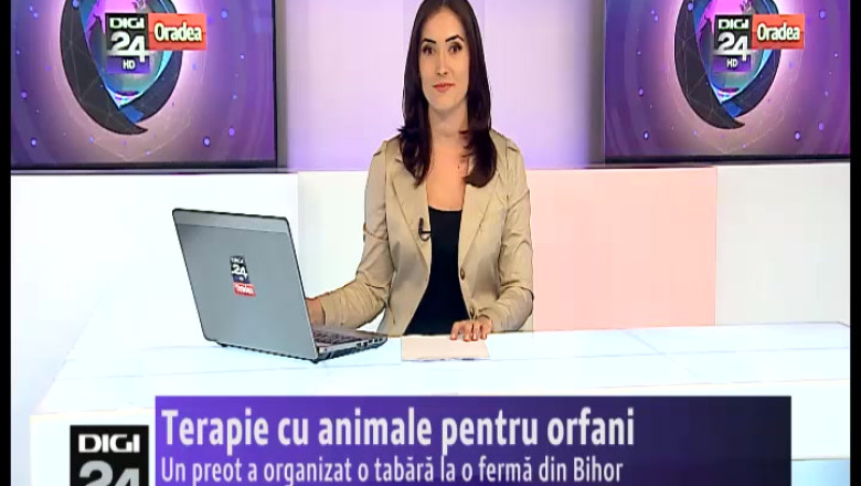 Terapie cu animale pentru orfani. Un preot a organizat o tabara la o ferma din Bihor Imagine