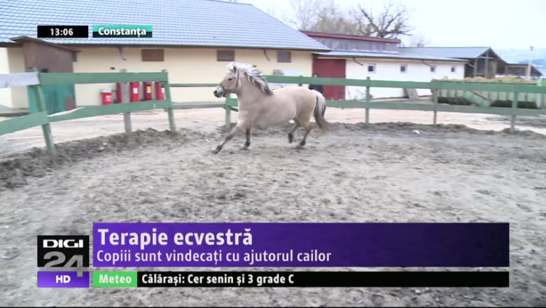 Terapie ecvestra. Copiii sunt vindecati cu ajutorul cailor  Imagine