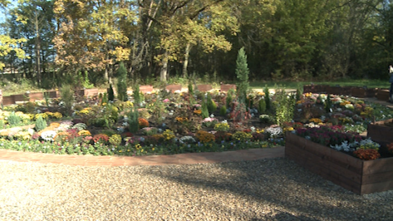 Terapie in gradina cu flori Imagine