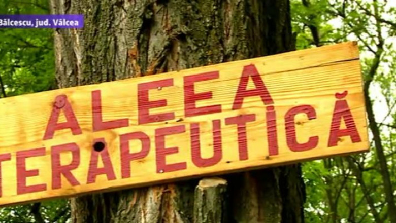 Terapie in picioarele goale. In judetul Valcea a fost amenajata o alee cu nisip, lemne si pietre de munte Imagine