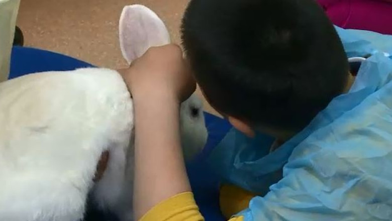 Terapii asistate de... iepuri Imagine