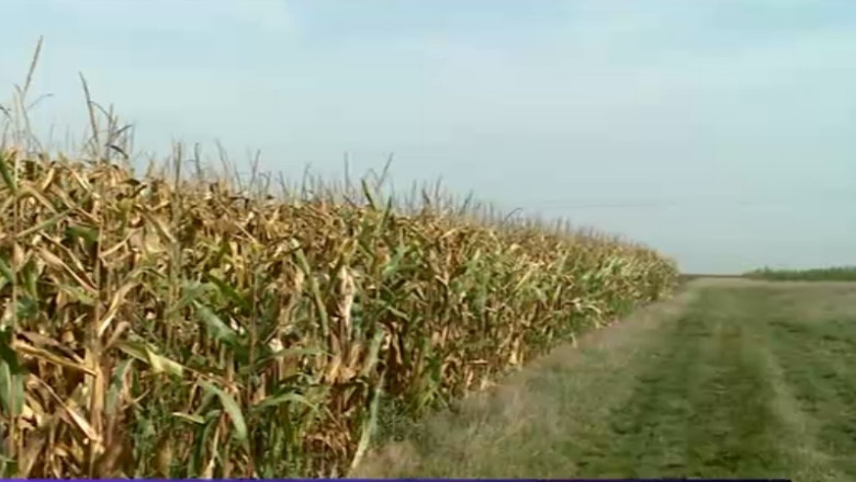 Terenurile agricole din vestul tarii au ajuns la preturi record, de 15 ori mai scumpe decat in anul 2000 Imagine