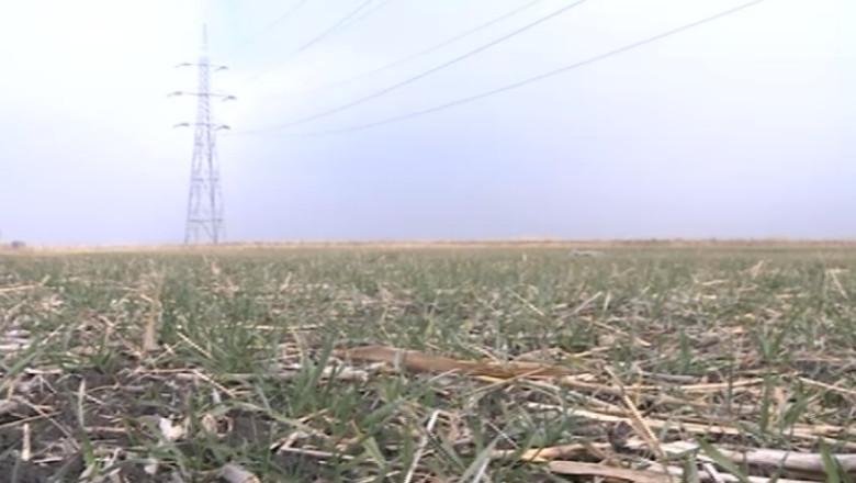 Terenurile agricole, pariul anului 2014. Specialistii spun ca pamantul se va scumpi cu peste 30% Imagine