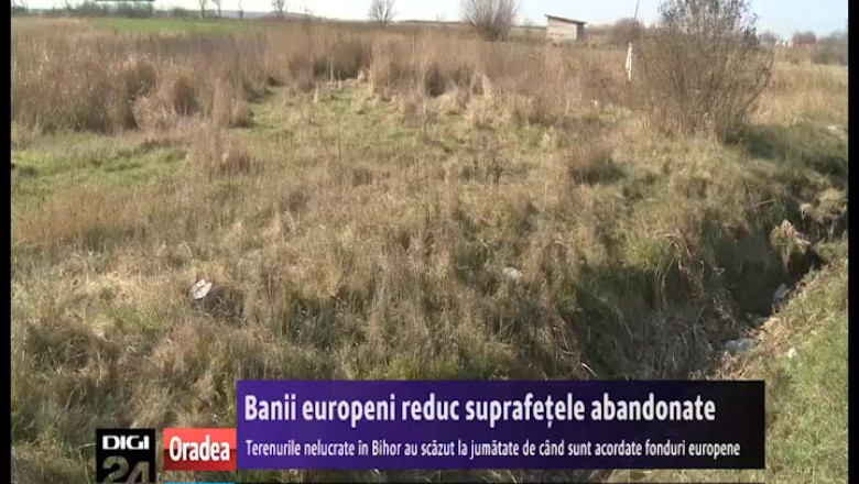 Terenurile nelucrate in Bihor au scazut la jumatate de cand sunt acordate fonduri europene. Acum au ramas 40.000 de hectare Imagine