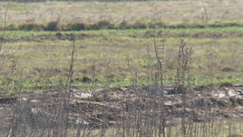 Terenurile retrocedabile, greu de gasit  Imagine