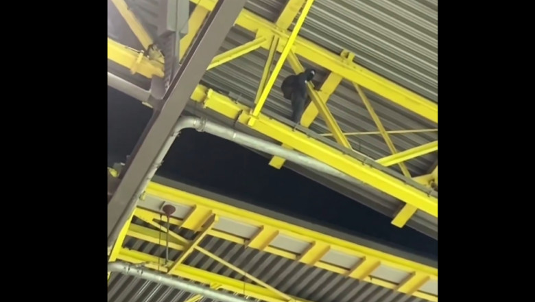 Teribilism periculos la Euro 2024. Un barbat s-a urcat pe acoperisul stadionului Dortmund in timpul meciului Germania - Danemarca Imagine