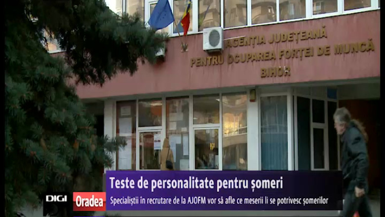 Teste de personalitate pentru someri la AJOFM Bihor Imagine