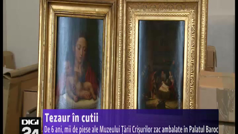 Tezaur in cutii. De 6 ani, mii de piese ale Muzeului tarii Crisurilor zac ambalate in Palatul Baroc Imagine