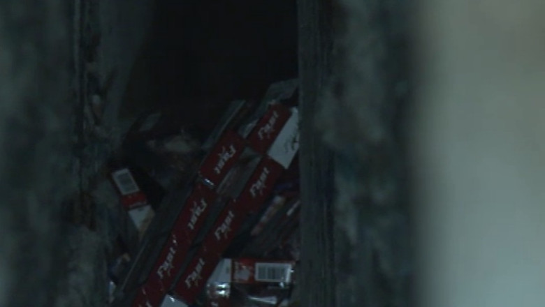 Tigari „salvate” de pompieri cu ajutorul unui om al strazii Imagine