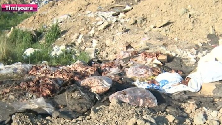 Timis: carne stricata, aruncata pe camp Imagine