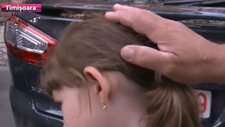 Timisoara, asaltata de tantari. Autoritatile nu au facut nicio dezinsectie in aer, in anul 2014 Imagine