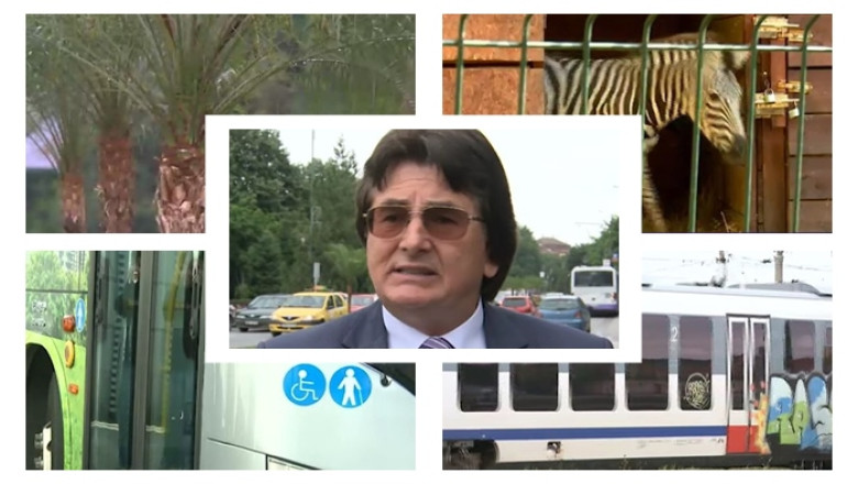 Timisoara - de la palmieri, spre metrou Imagine