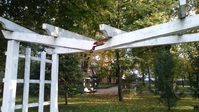 Timisoara: pergolele din parc, folosite pentru... tractiuni la bara? Imagine