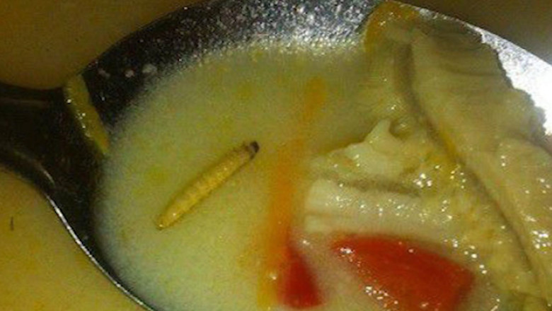 Timisoara. Probleme in restaurantele din Complexul Studentesc Imagine