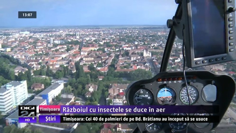 Timisoara: razboiul cu insectele se duce in aer Imagine