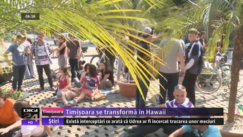 Timisoara rivalizeaza cu Hawaii: plaja sub palmieri Imagine