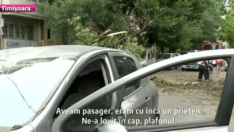 Timisoara: un copac cazut, trei masini avariate Imagine