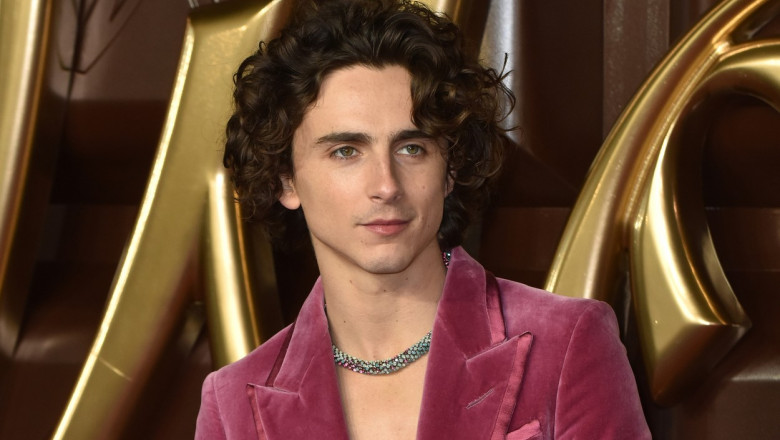 Timothee Chalamet a luat lectii de canto de la un antrenor vocal celebru, pentru rolul din filmul „Wonka” Imagine