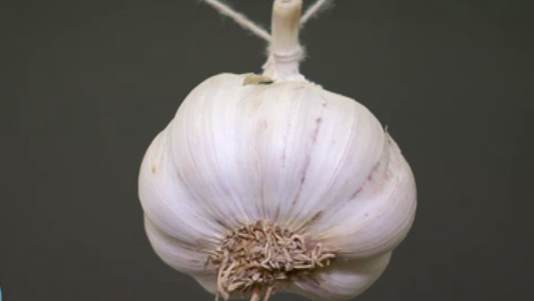 TINEREtE FARA BATRANEtE. Condimente pentru o digestie usoara Imagine