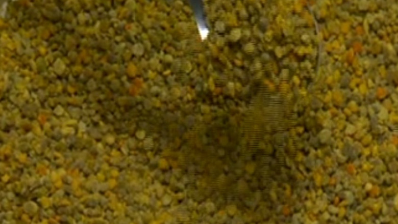 TINERETE FARA BATRANETE. Polenul, un panaceu natural Imagine