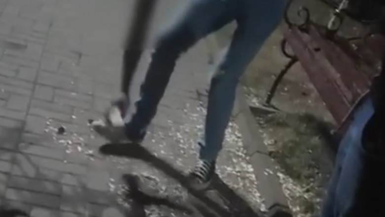 Tineri, amendati si pusi sa mature cojile de seminte intr-un parc din Targu Ocna. Politie: „I-am ajutat sa regaseasca simtul civic” Imagine