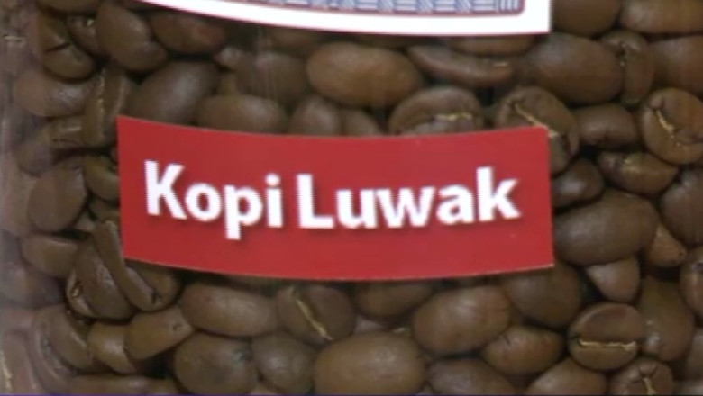 Toamna cu aroma de ceai si cafea. O suta de grame de Kopi Luwak costa 160 de lei Imagine