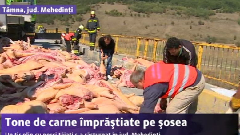 Tone de carne de porc, imprastiate pe sosea, dupa ce un tir s-a rasturnat Imagine