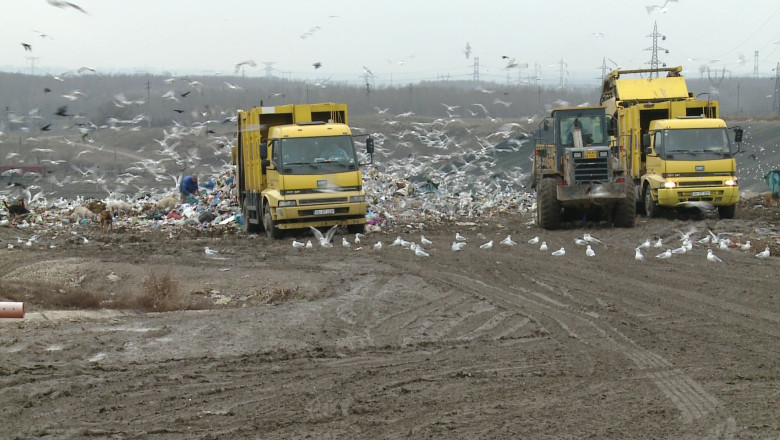 Tone de mancare la gunoi Imagine