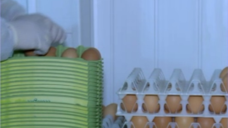 Tone de oua cu salmonella au ajuns in magazine Imagine