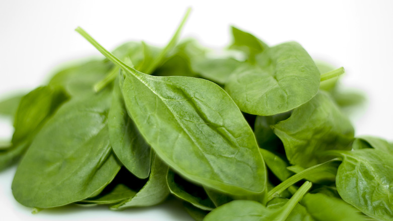 Toshiba isi extinde domeniul de activitate. Producatorul japonez va cultiva legume Imagine