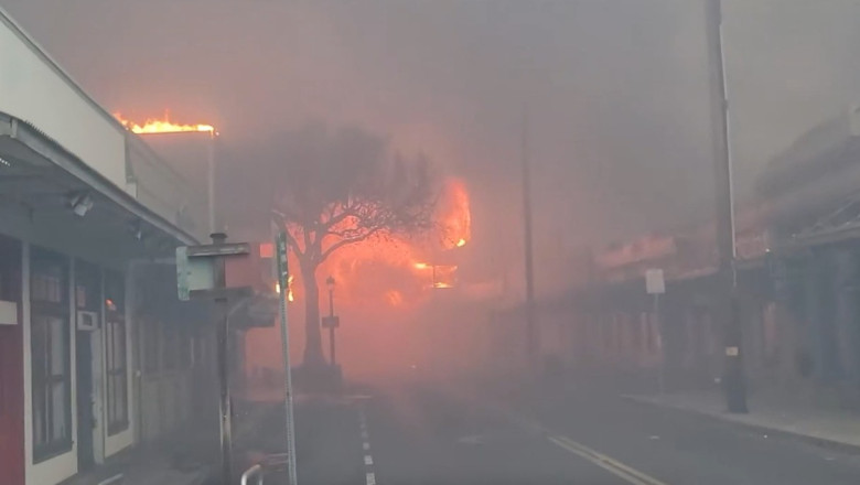 „Toti cei pe care ii cunosc nu mai au casa”. Marturiile unui localnic care a reusit sa scape de incendiile devastatoare din Hawaii Imagine