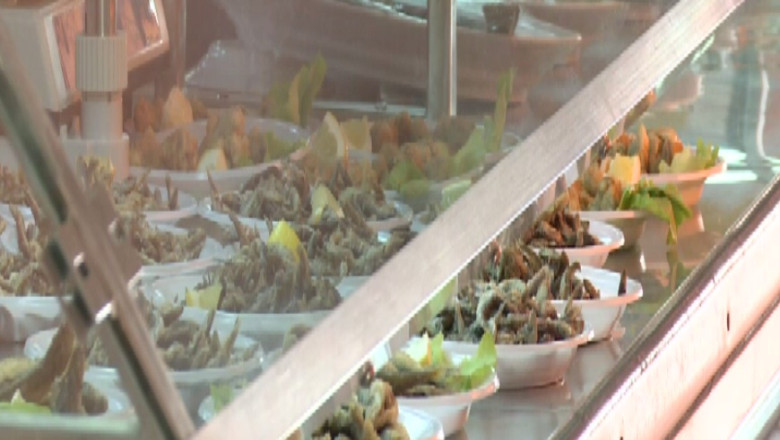 Toxiinfectie alimentara, in Mamaia Imagine