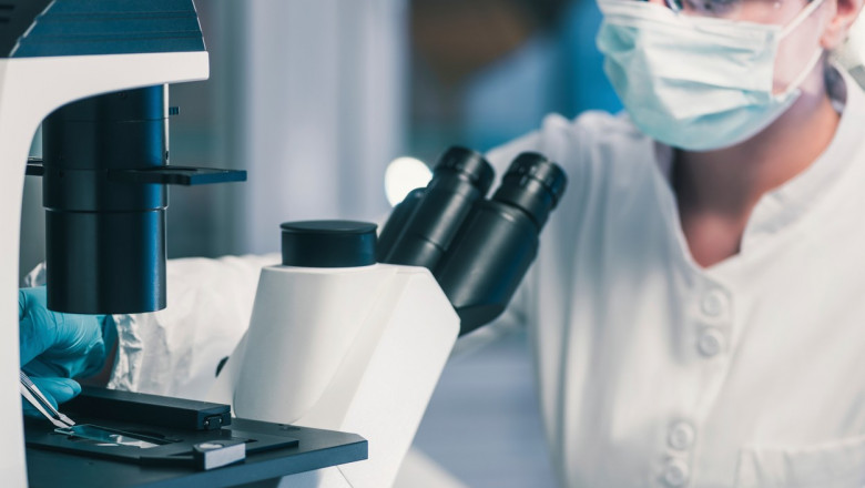 Toxina descoperita intr-o planta ar putea fi noua arma a medicilor in lupta cu bacteriile rezistente la antibiotice Imagine