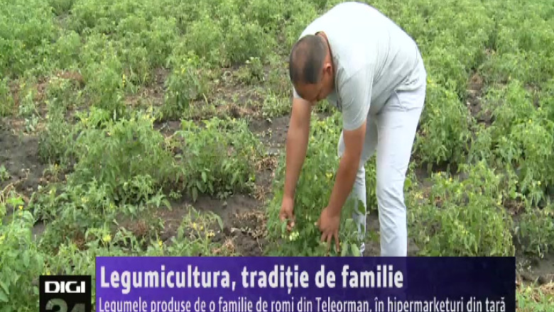 Traditia de familie ajunge in hipermarketuri Imagine