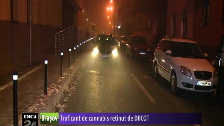 Traficant de cannabis retinut de DIICOT Imagine