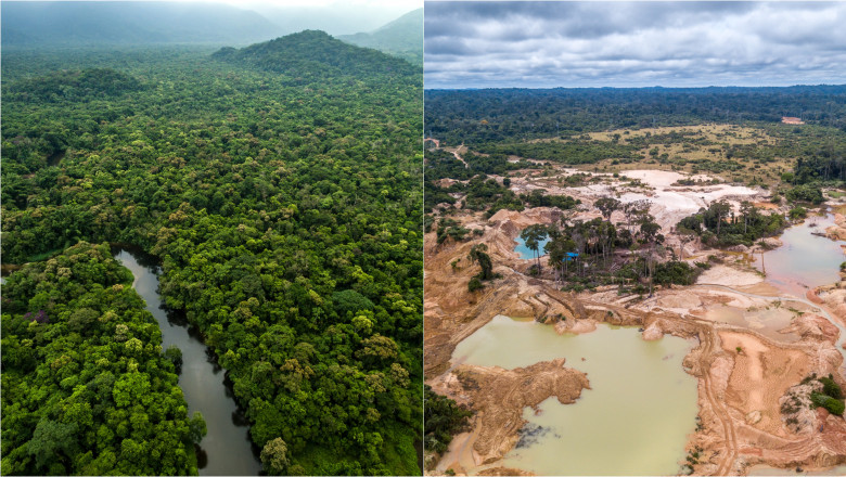 Traficanti de droguri, mineri ilegali si disidenti: Tripla alianta din inima Amazonului care devasteaza cea mai mare padure tropicala Imagine