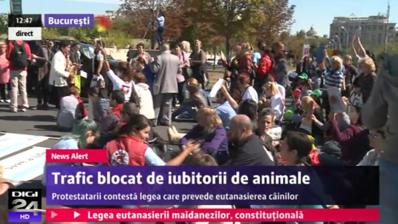 Traficul a fost blocat in fata CCR de iubitorii de animale Imagine
