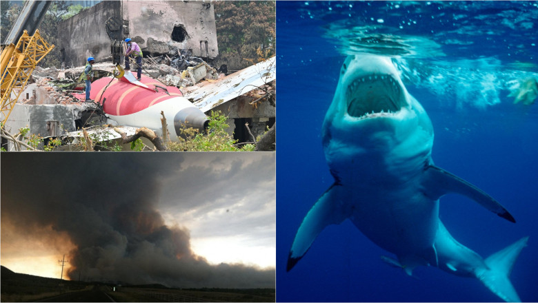 Tragedia ascunsa a „supravietuitorilor miraculosi”: Au sfidat moartea, dar nu au fost pregatiti pentru ce i-a asteptat dupa dezastru Imagine