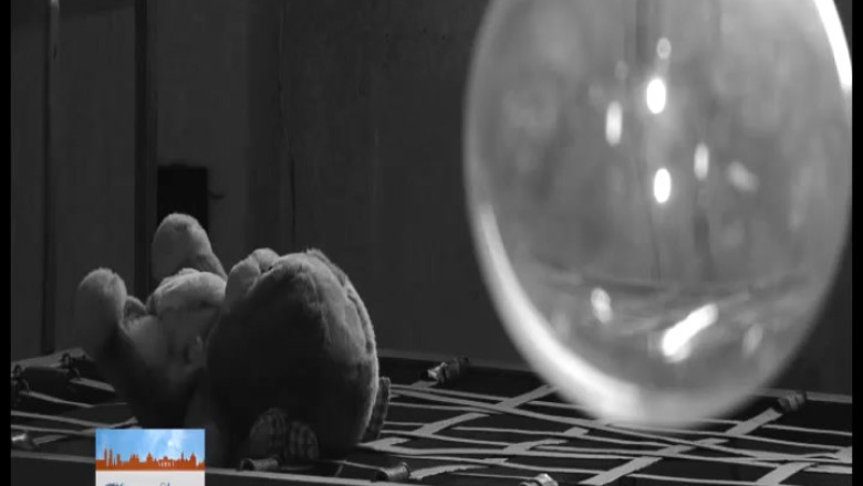 Tragedia evreilor din Oradea Imagine