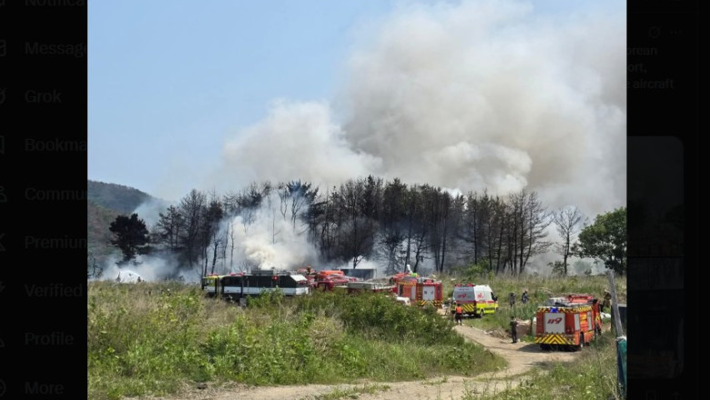 Tragedie in Coreea de Sud: Un avion militar cu patru persoane la bord s-a prabusit pe un munte Imagine