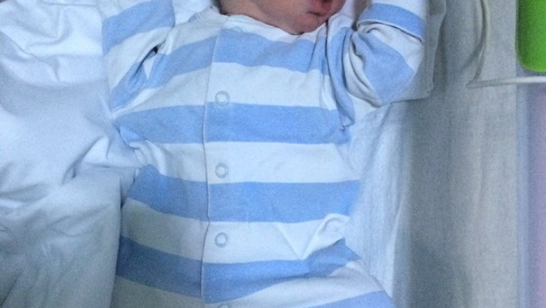 Traian Basescu, despre nepotelul sau: Il cheama Radu Basescu Pricop, in februarie mai vine unul Imagine